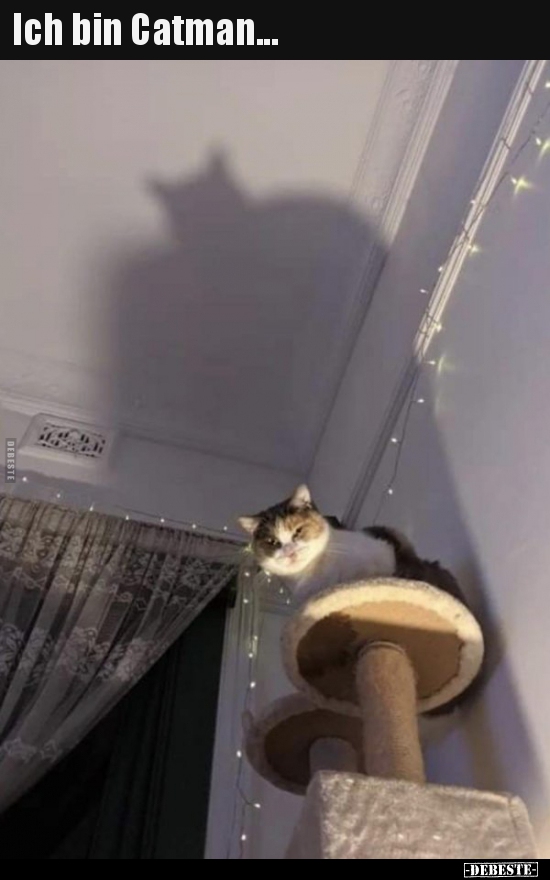 Ich bin Catman...