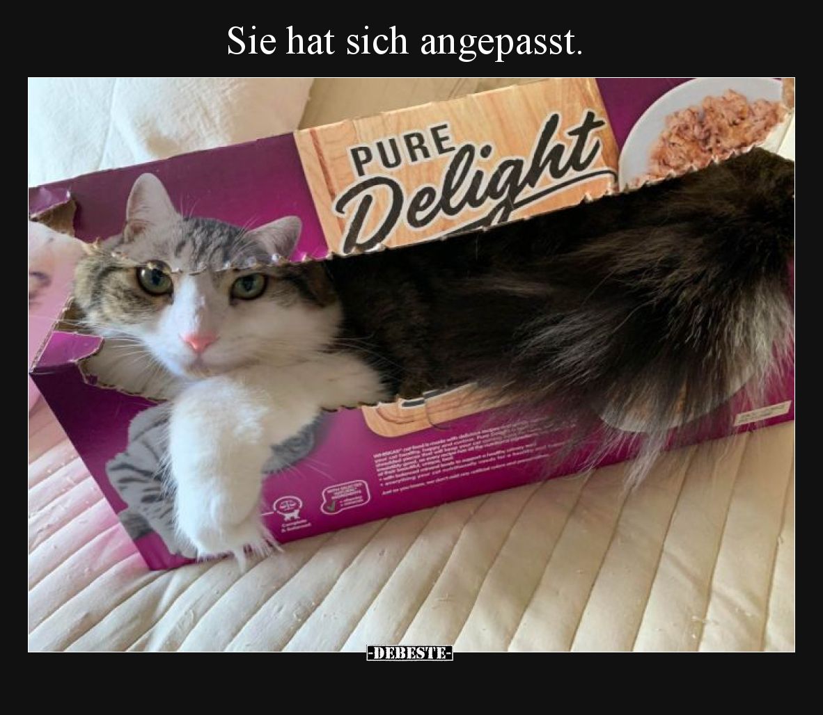 Sie hat sich angepasst.