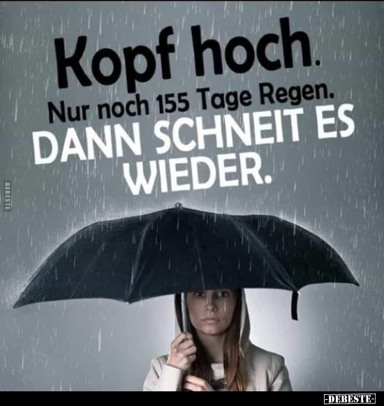 Kopf hoch. Nur noch 155 Tage Regen.. - Lustige Bilder | DEBESTE.de