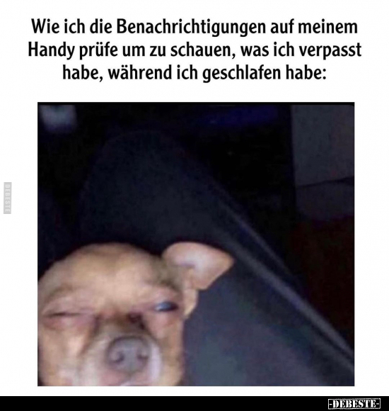 Wie ich die Benachrichtigungen auf meinem Handy prüfe.. - Lustige Bilder | DEBESTE.de
