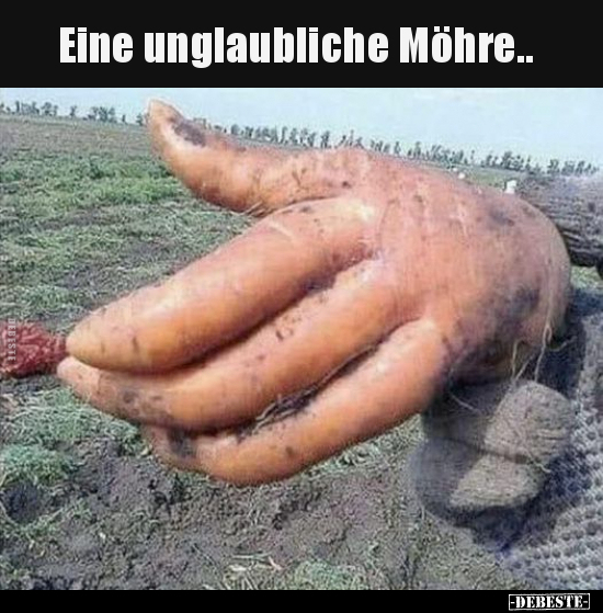 Eine unglaubliche Möhre.. - Lustige Bilder | DEBESTE.de