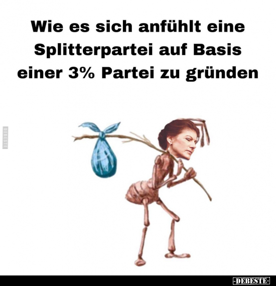 Wie es sich anfühlt eine Splitterpartei auf Basis einer 3% Partei zu gründen?
