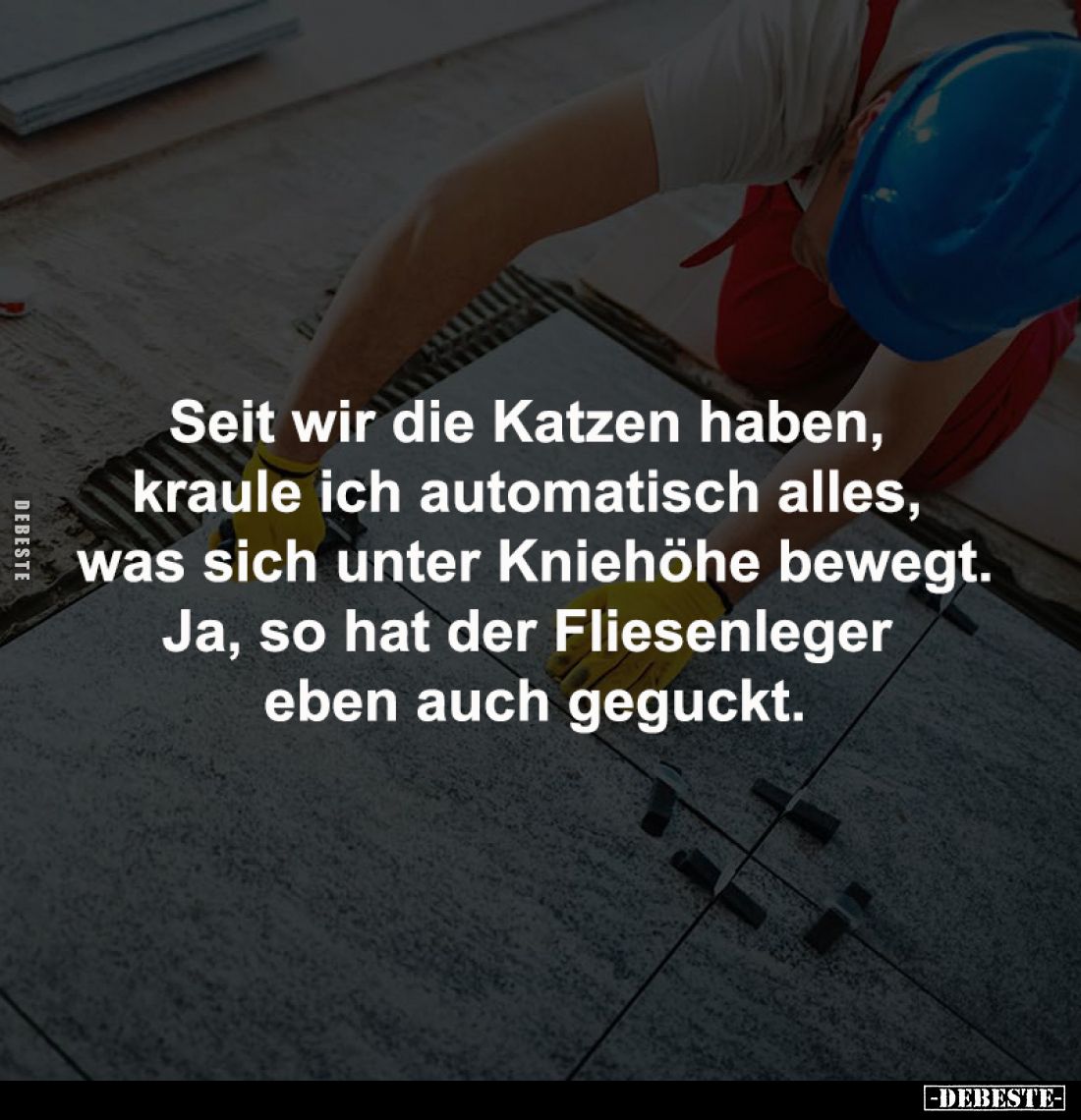 Seit wir die Katzen haben, kraule ich automatisch alles.. - Lustige Bilder | DEBESTE.de