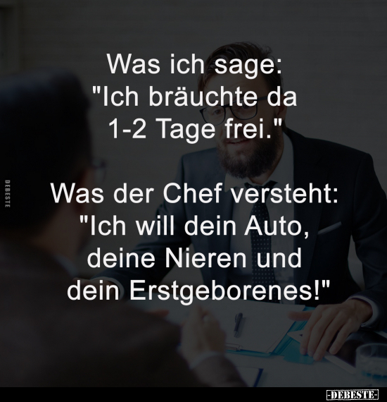 Chef, Auto, Nieren