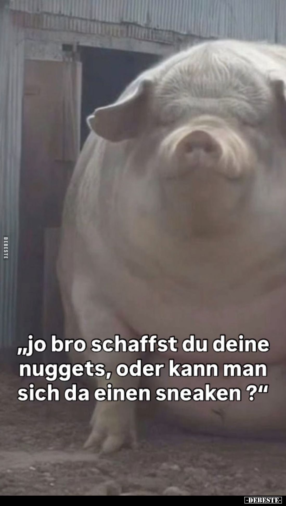 Jo Bro schaffst du deine Nuggets, oder kann man sich da einen Sneaken?