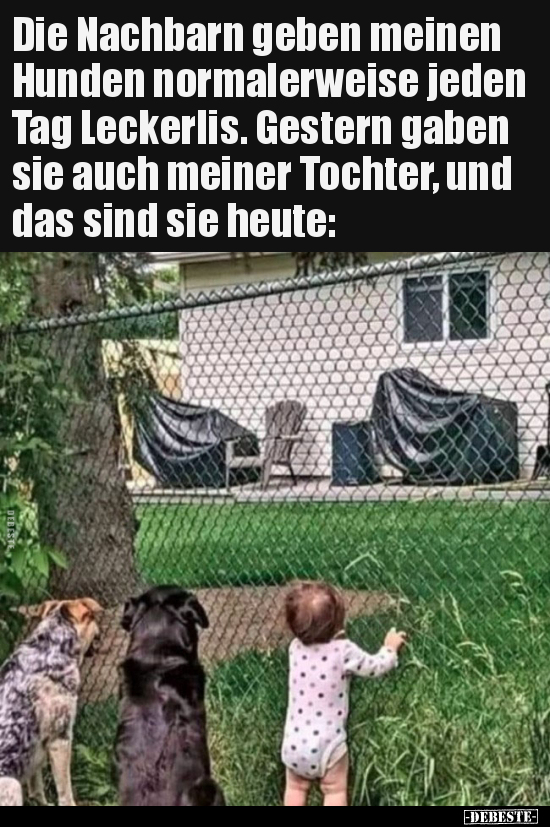 Die Nachbarn geben meinen Hunden normalerweise jeden Tag.. - Lustige Bilder | DEBESTE.de