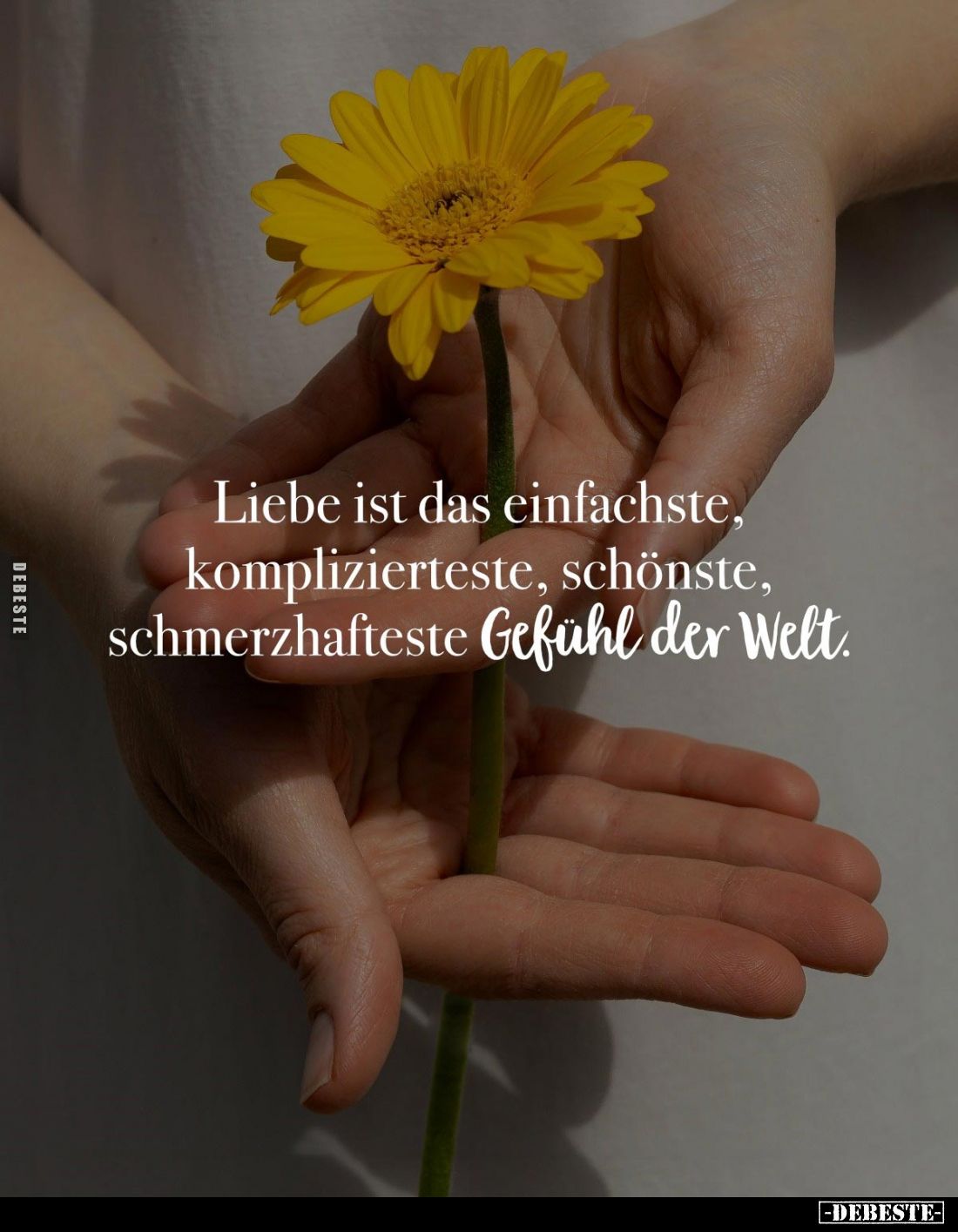 Liebe ist das einfachste, komplizierteste, schönste, schmerzhafteste Gefühl der Welt.
