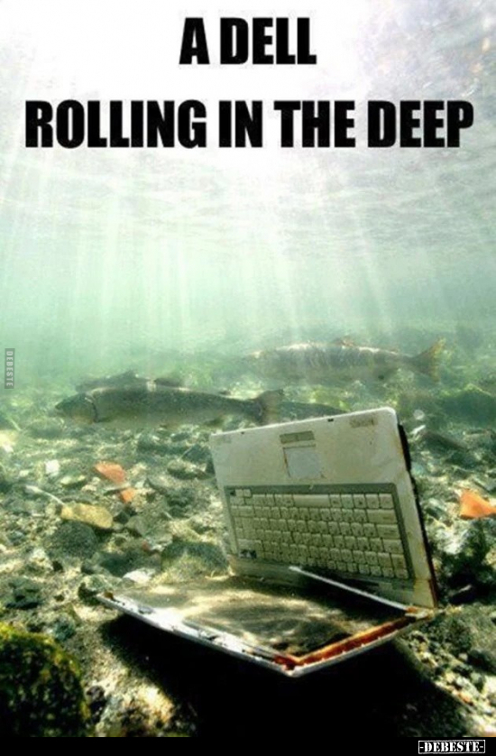 A Dell -
Rolling in the deep.