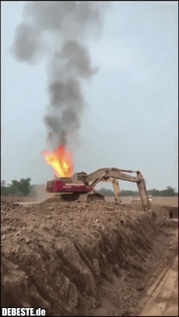 In der Not erkennt man die wahren Freunde.