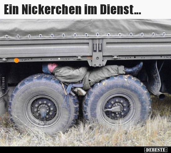 Ein Nickerchen im Dienst...