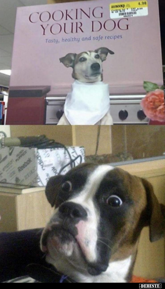  - Lustige Bilder | DEBESTE.de