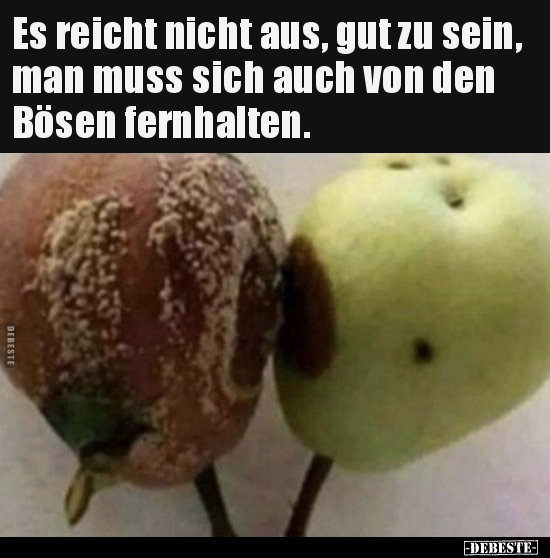 Es reicht nicht aus, gut zu sein, man muss sich auch von den Bösen fernhalten.