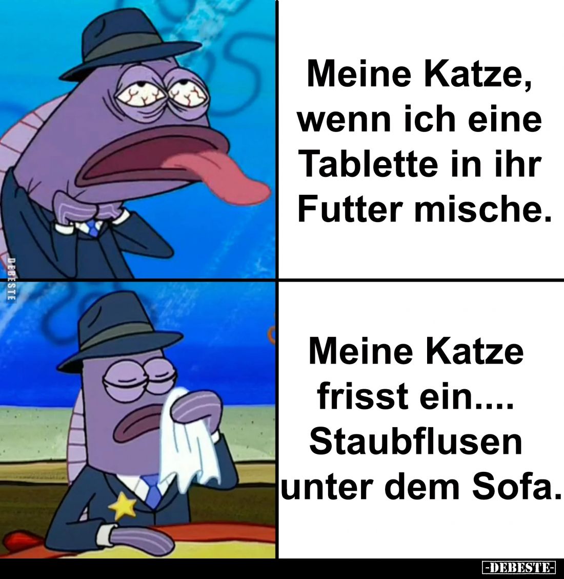 Meine Katze, wenn ich eine Tablette in ihr Futter mische. -
Meine Katze frisst ein.... Staubflusen unter dem Sofa.