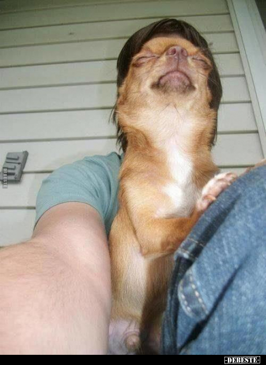  - Lustige Bilder | DEBESTE.de