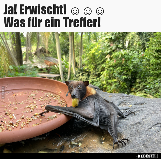 Ja! Erwischt! ☺☺☺ Was für ein Treffer!.. - Lustige Bilder | DEBESTE.de