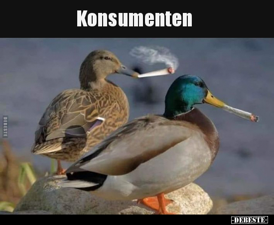 Konsumenten.. - Lustige Bilder | DEBESTE.de