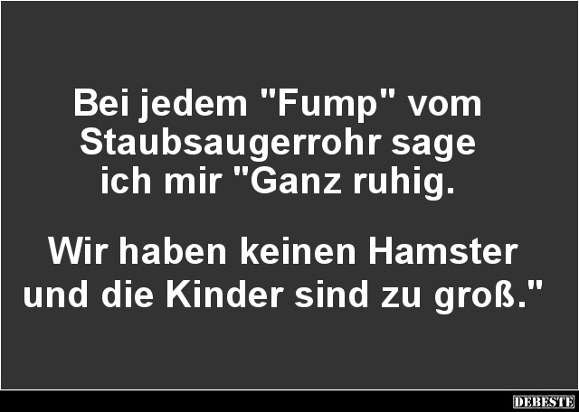 Bei jedem "Fump" vom Staubsaugerrohr sage ich.. - Lustige Bilder | DEBESTE.de