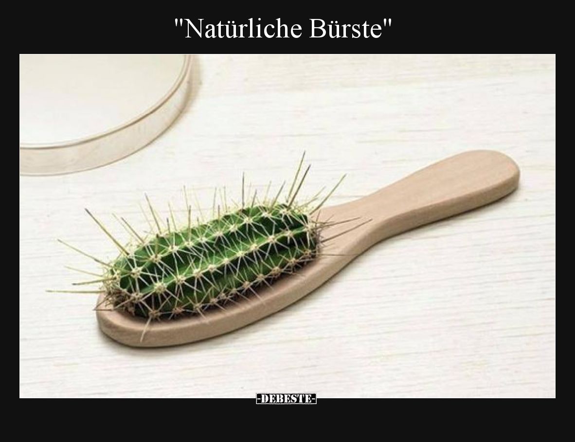 Natürliche Bürste