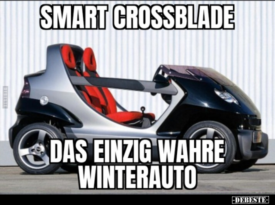 Smart Crossblade - das einzig wahre Winterauto... - Lustige Bilder | DEBESTE.de