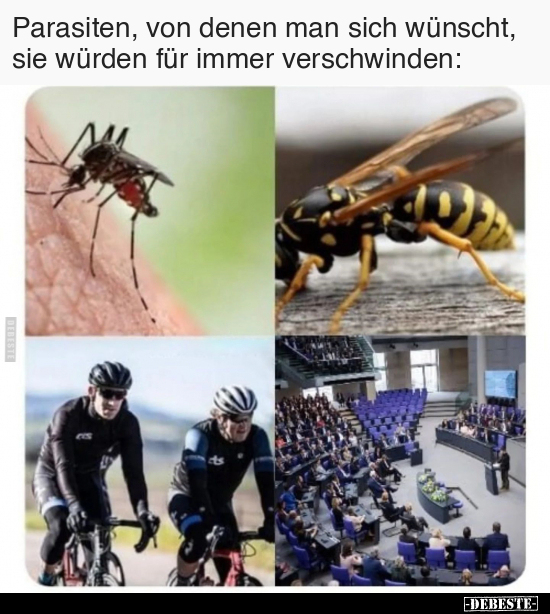 Parasiten, von denen man sich wünscht, sie würden für immer.. - Lustige Bilder | DEBESTE.de