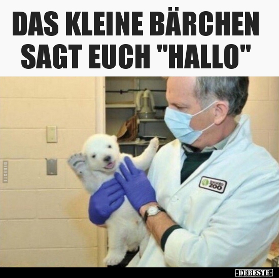 DAS KLEINE BÄRCHEN SAGT EUCH "HALLO".. - Lustige Bilder | DEBESTE.de