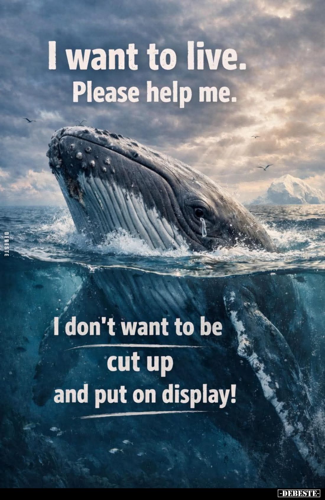 I want to live. Please help me... - Lustige Bilder | DEBESTE.de