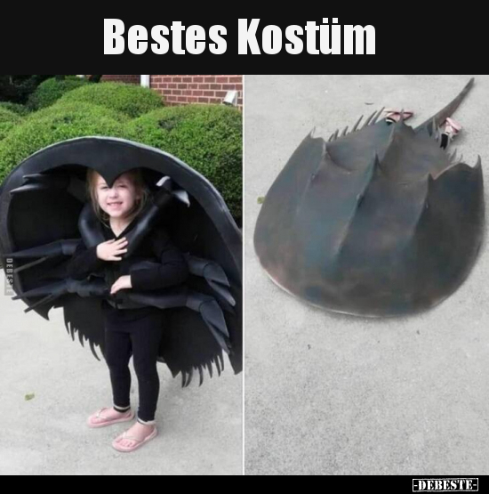 Bestes Kostüm.. - Lustige Bilder | DEBESTE.de