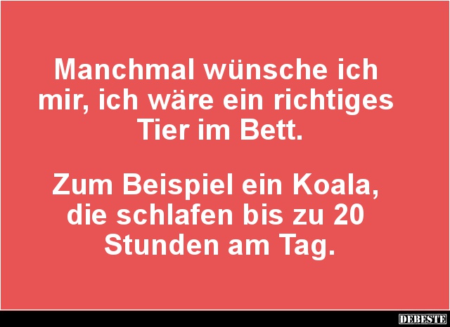 Manchmal wünsche ich mir, ich wäre ein richtiges Tier im Bett.. - Lustige Bilder | DEBESTE.de