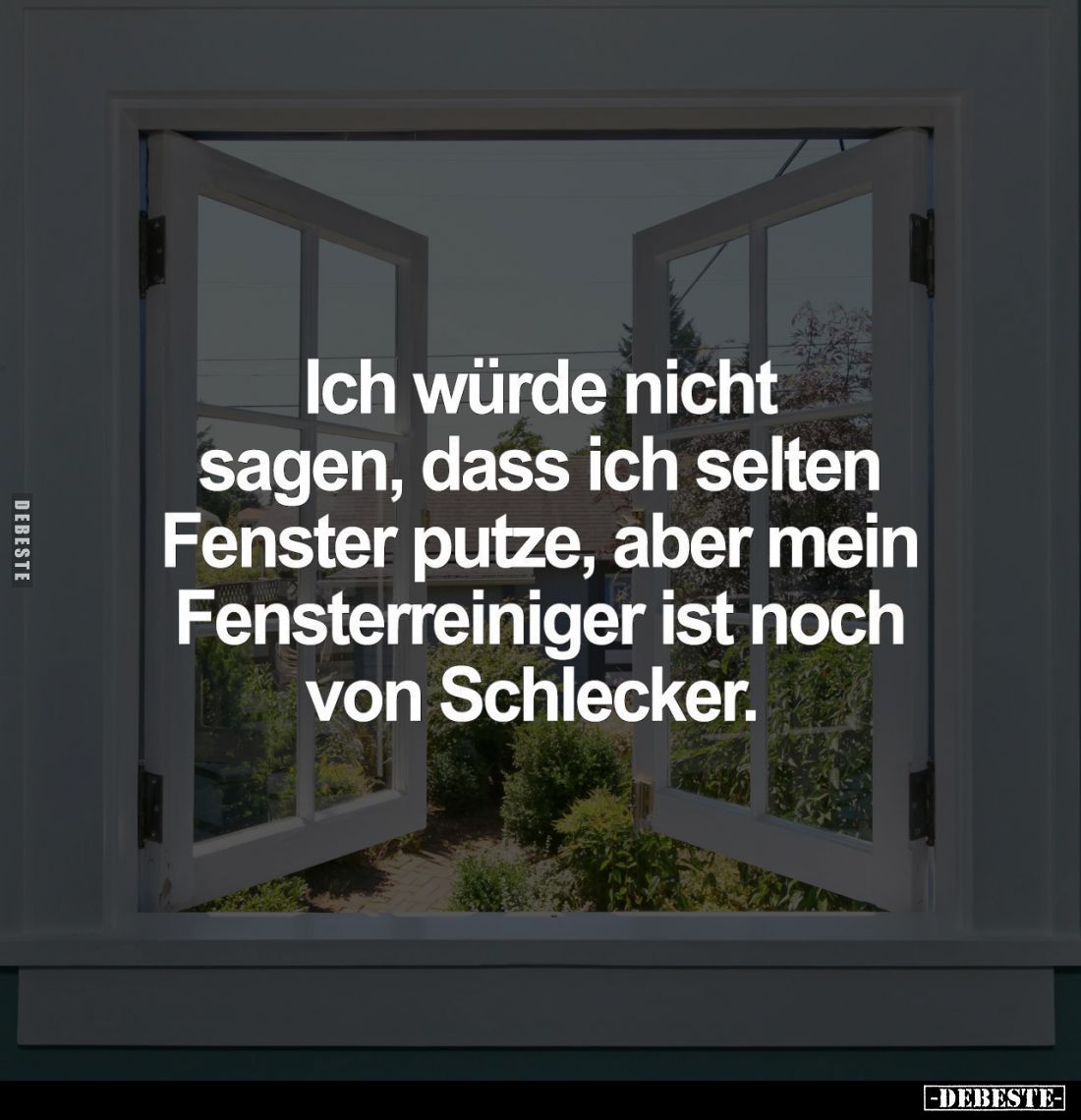 Ich würde nicht sagen, dass ich selten Fenster putze, aber mein Fensterreiniger ist noch von Schlecker.