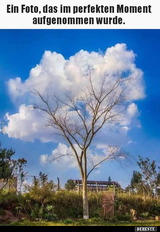 Ein Foto, das im perfekten Moment aufgenommen wurde.