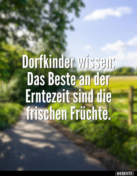 Dorfkinder wissen: Das Beste an der Erntezeit sind die.. - Lustige Bilder | DEBESTE.de