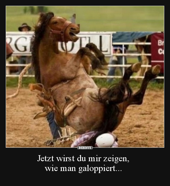 Jetzt wirst du mir zeigen, wie man galoppiert...