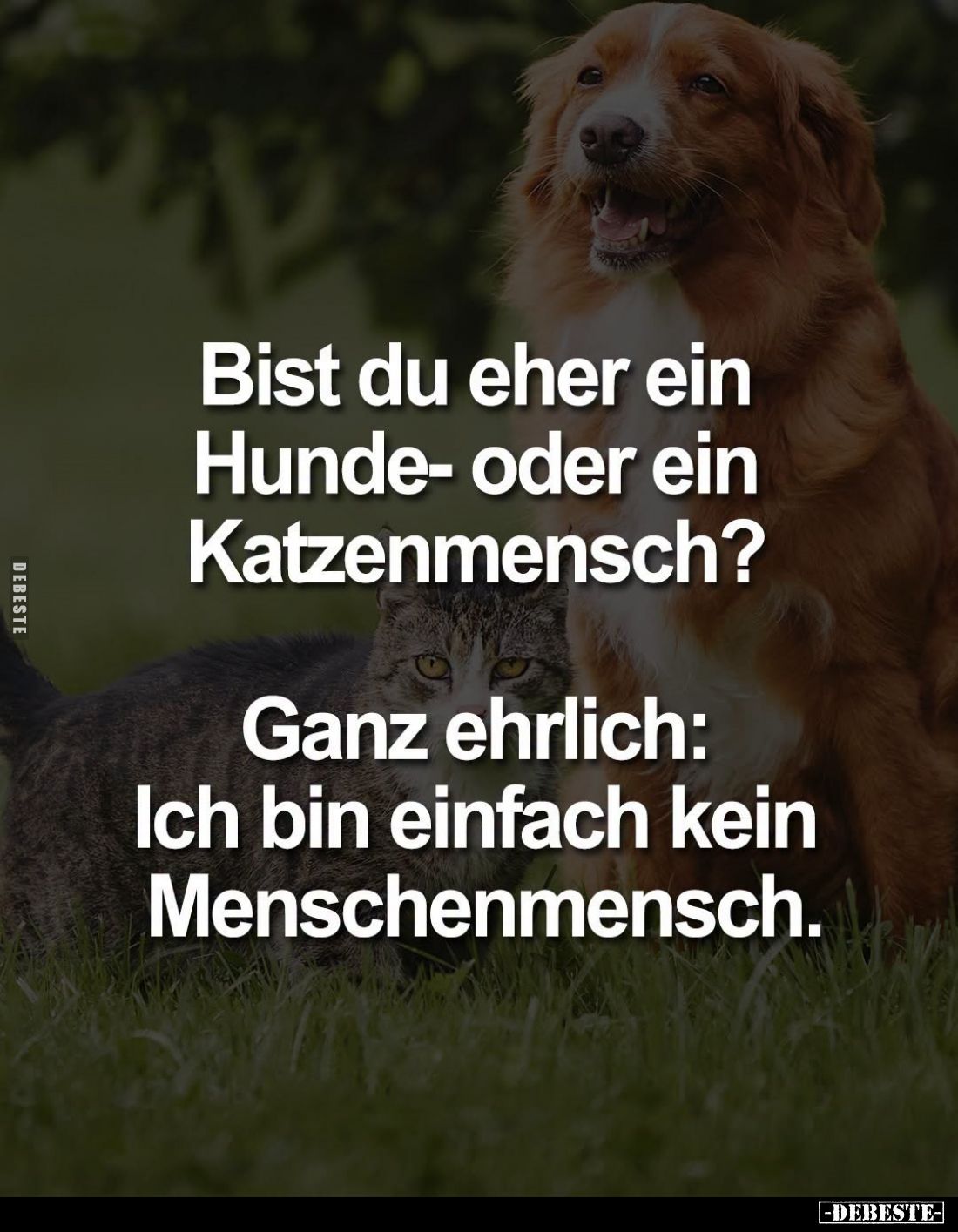 Bist du eher ein Hunde- oder ein Katzenmensch?.. - Lustige Bilder | DEBESTE.de