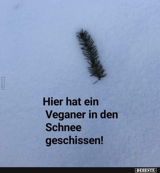 Hier hat ein Veganer in den Schnee geschissen! - Lustige Bilder | DEBESTE.de