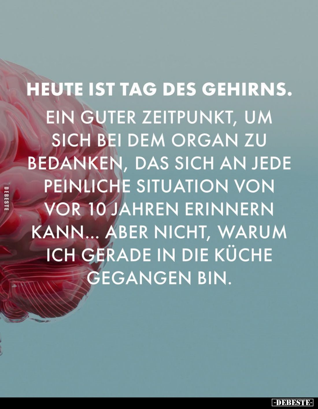 Heute ist Tag des Gehirns.
Ein guter Zeitpunkt, um sich bei dem Organ zu bedanken, das sich an jede peinliche Situation von ...