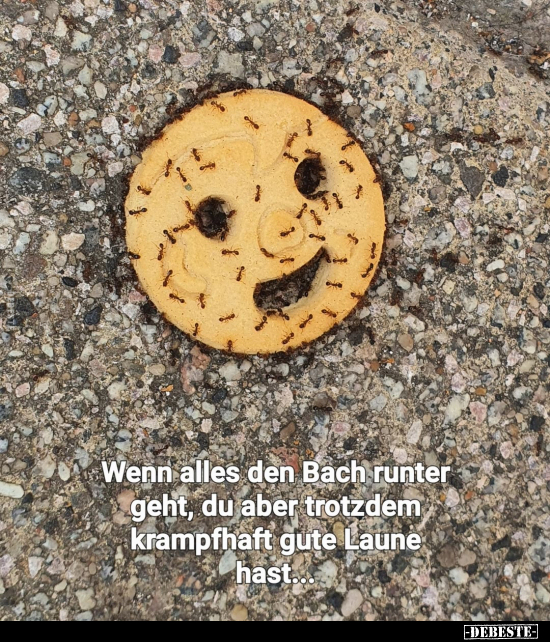 Wenn alles den Bach runter geht, du aber trotzdem.. - Lustige Bilder | DEBESTE.de