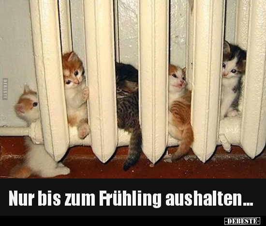 Nur bis zum Frühling aushalten...