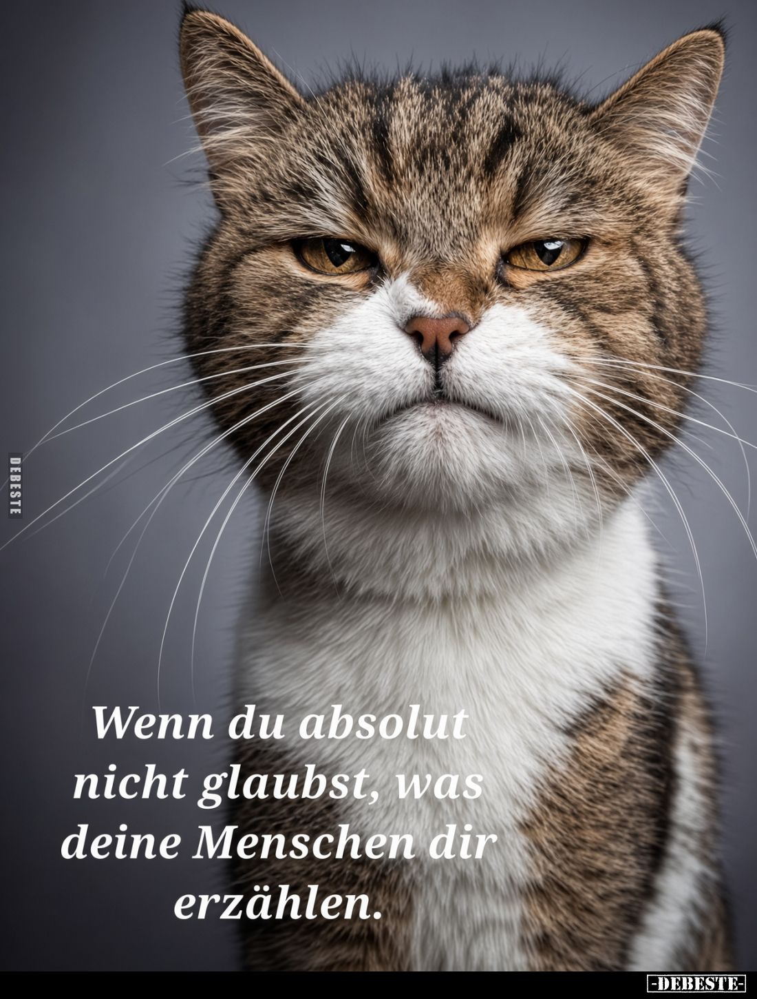 Wenn du absolut nicht glaubst, was deine Menschen dir erzählen.