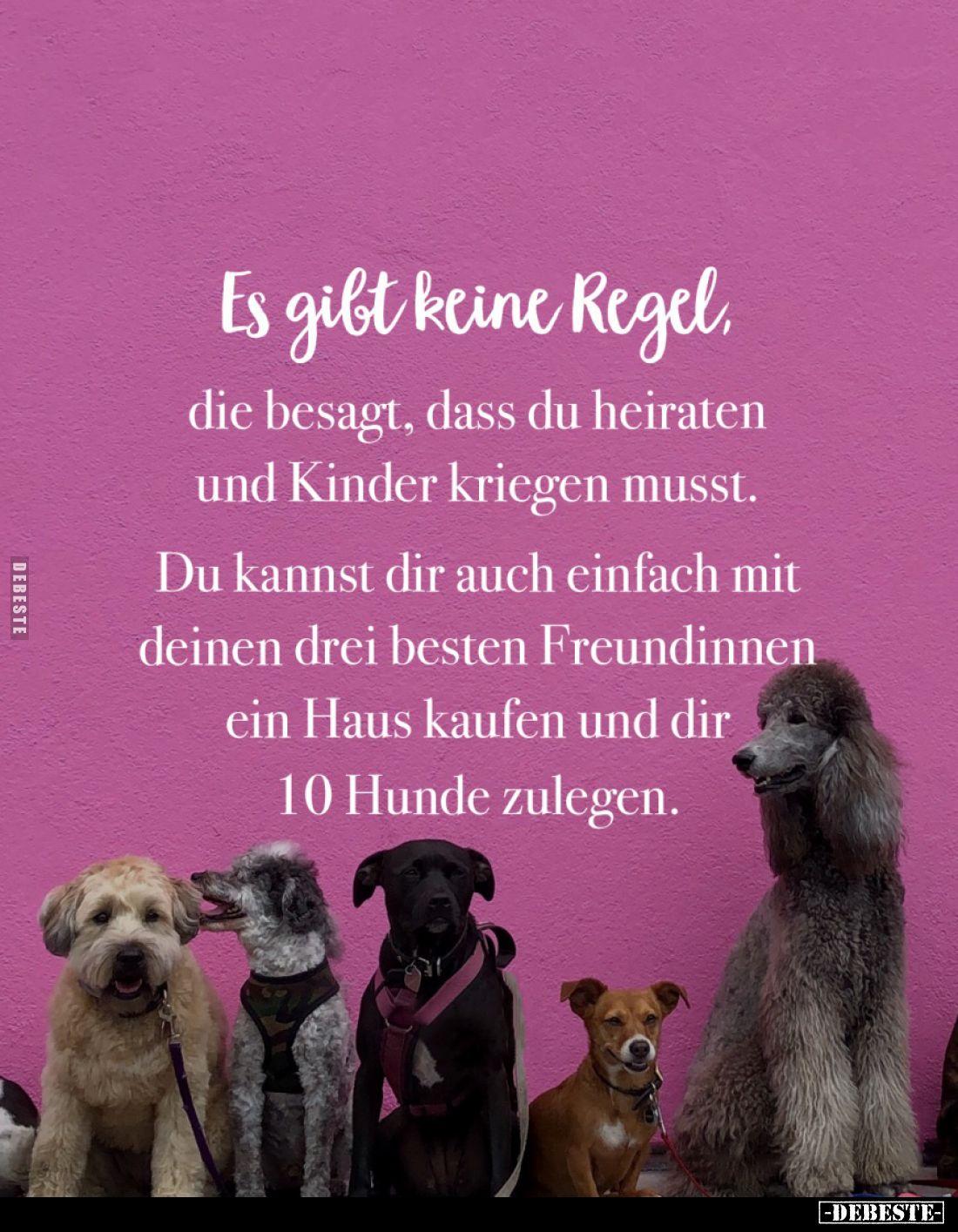 Es gibt keine Regel, die besagt, dass du heiraten... - Lustige Bilder | DEBESTE.de