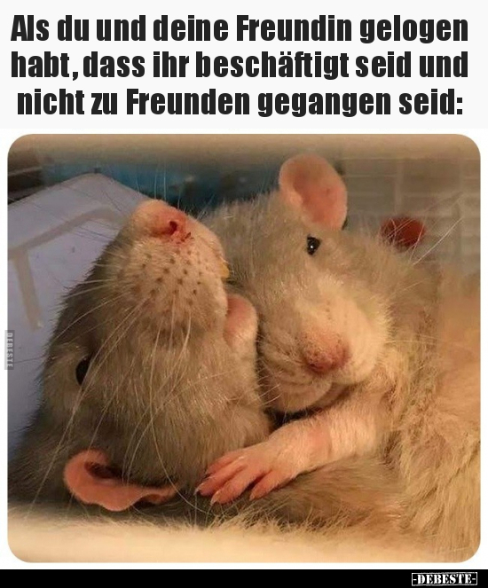 Als du und deine Freundin gelogen habt, dass ihr.. - Lustige Bilder | DEBESTE.de