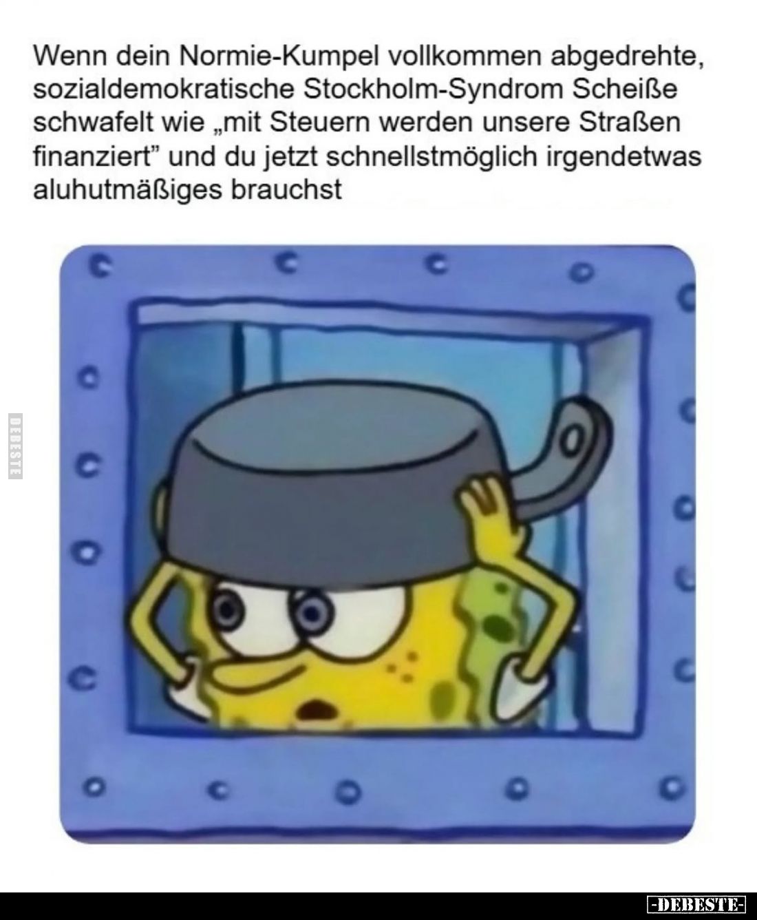 Wenn dein Normie-Kumpel vollkommen abgedrehte, sozialdemokratische Stockholm-Syndrom Scheiße schwafelt wie "mit Steuern ...