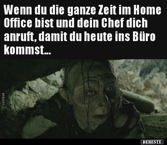 Wenn du die ganze Zeit im Home Office bist und dein Chef.. - Lustige Bilder | DEBESTE.de