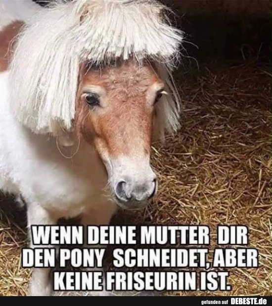 Wenn deine Mutter dir den Pony schneidet aber keine Friseurin ist.. - Lustige Bilder | DEBESTE.de