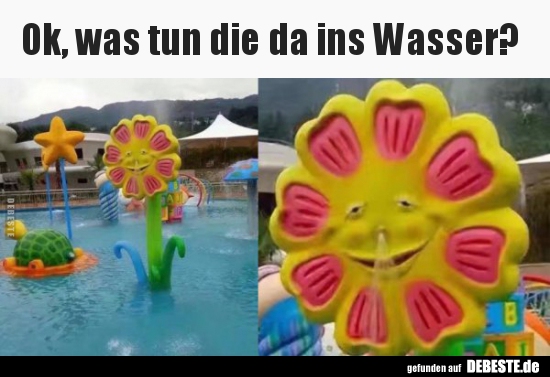Ok, was tun die da ins Wasser?.. - Lustige Bilder | DEBESTE.de