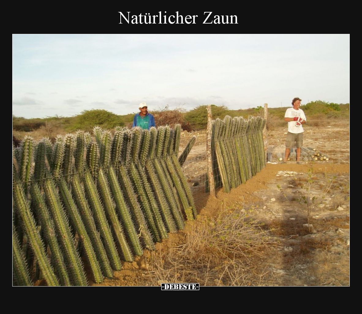 Natürlicher Zaun.. - Lustige Bilder | DEBESTE.de