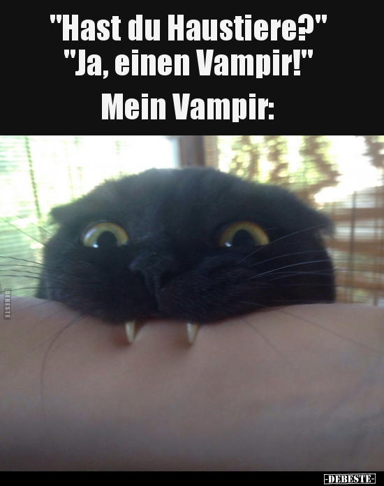 "Hast du Haustiere?" "Ja, einen Vampir!".. - Lustige Bilder | DEBESTE.de