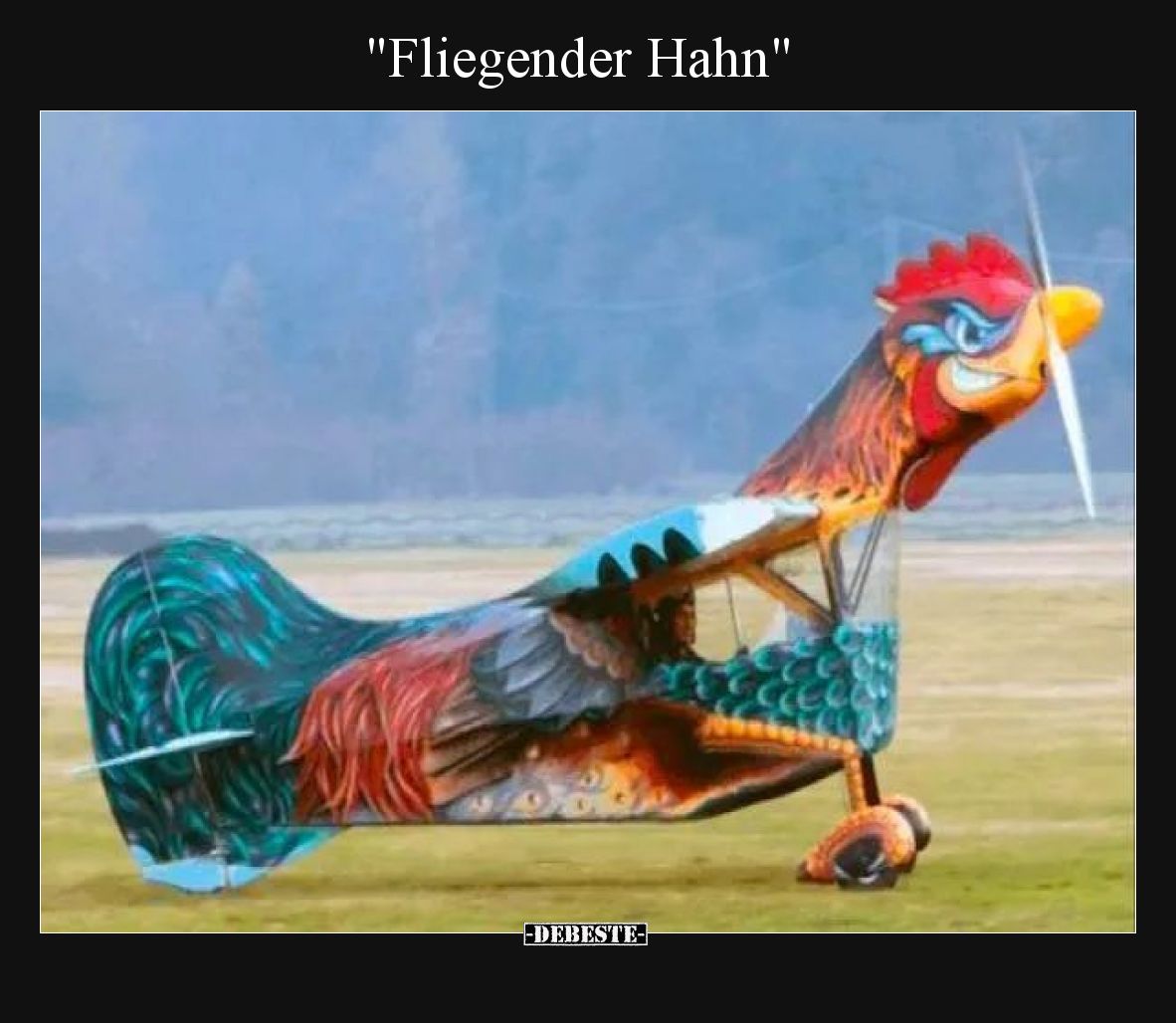 Fliegender Hahn