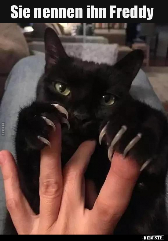 Sie nennen ihn Freddy..