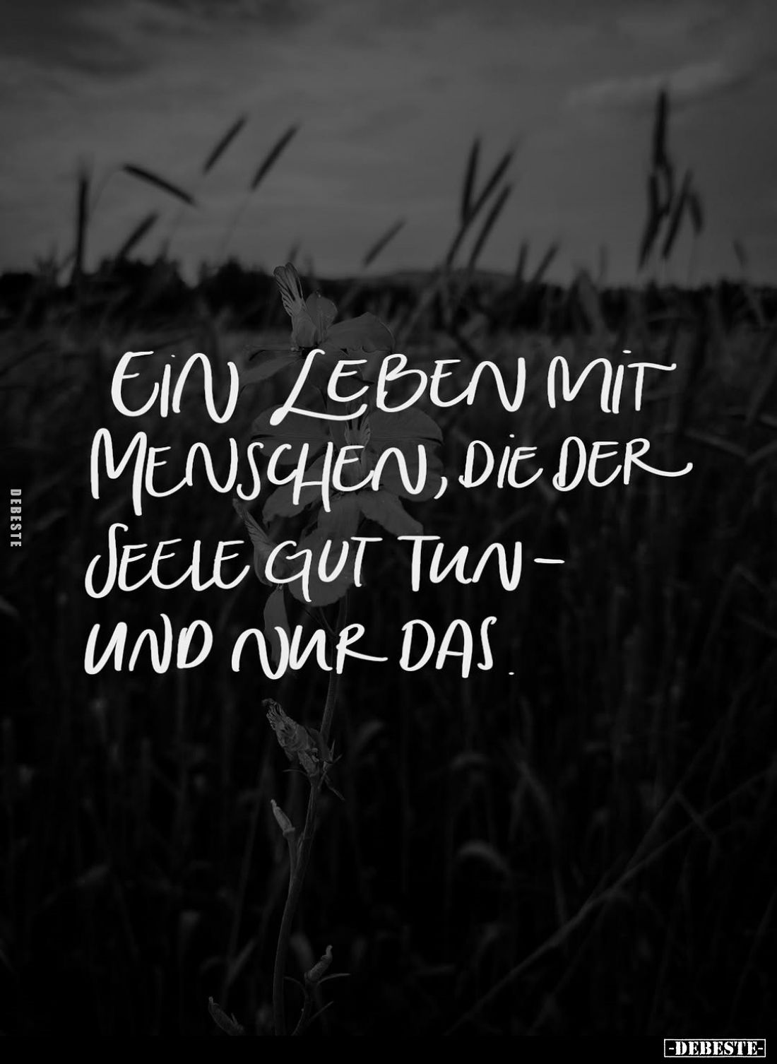 Ein Leben mit Menschen, die der Seele gut tun - und nur das.