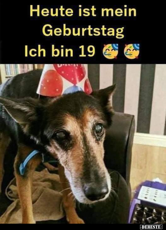Heute ist mein Geburtstag. Ich bin 19!.. - Lustige Bilder | DEBESTE.de